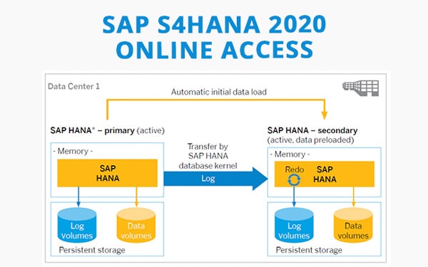 SAP S4HANA 2020 ONLINE ACCESS